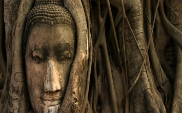 Lời Phật dạy giữa có và không